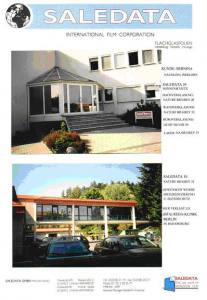 Energy Star / Sonnenschutzfolie Aussen grau medium, Premium