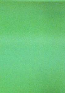 GlareStar Green / Sonnen- u. Blendschutzfolie / Grün - Premium